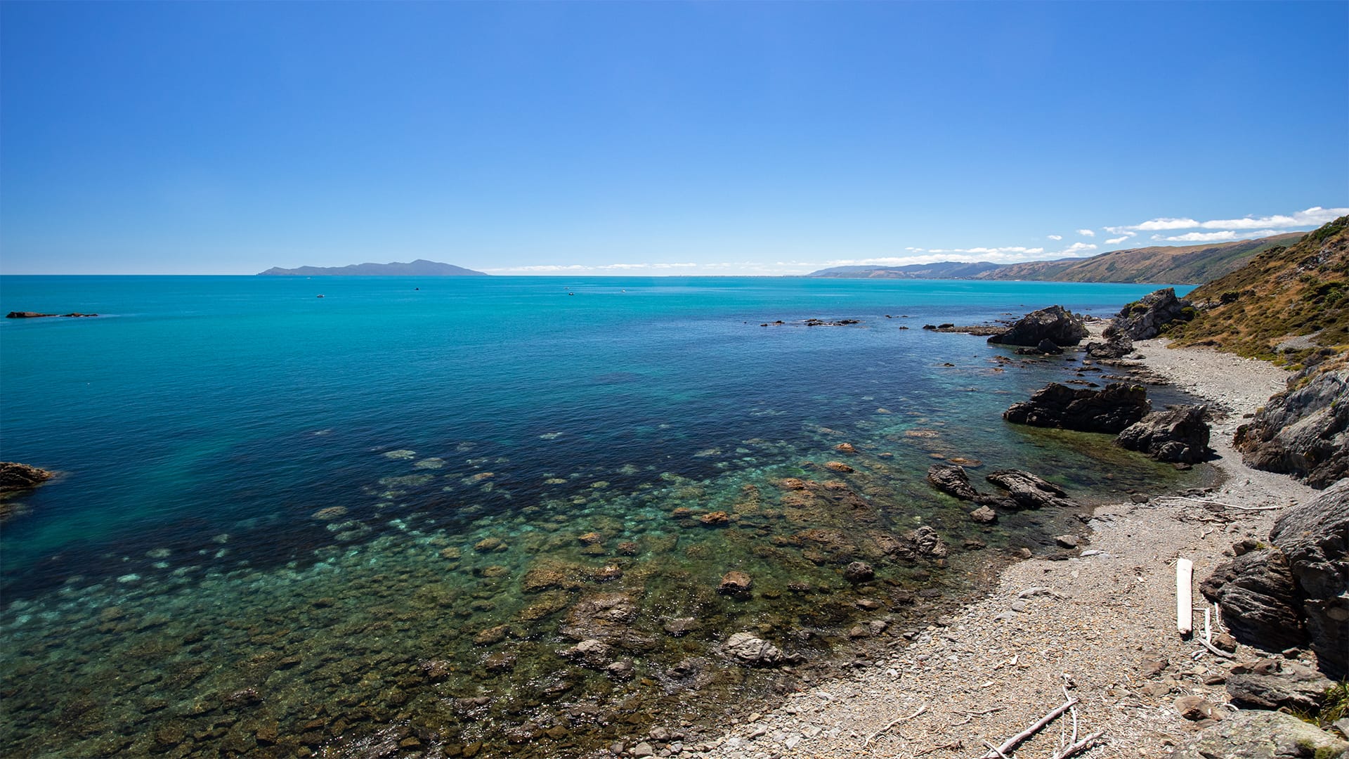 Go Local - Delights Of Kapiti Coast 